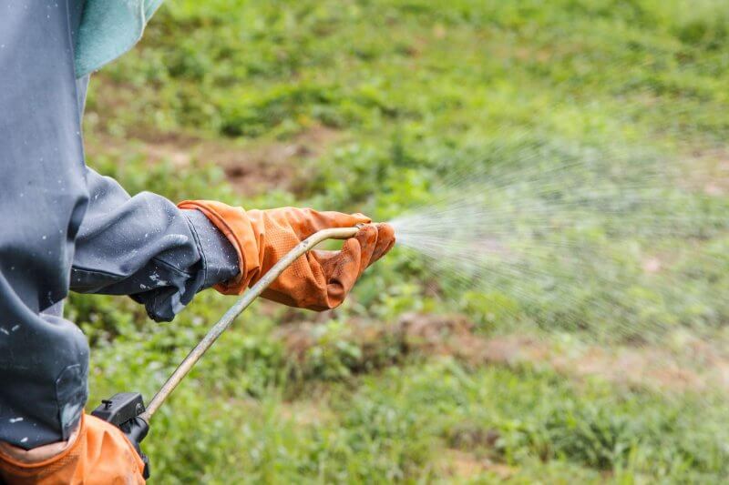 What Is The Best Weed Killer You Can Buy