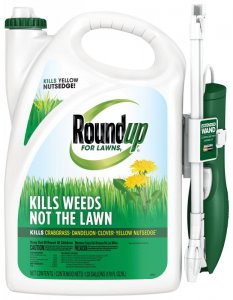 homemade weed killer lawns